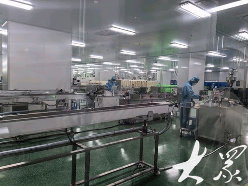 向新发力，智造未来 从连年亏损到全国前三的淄博医疗器械与车载智造传奇